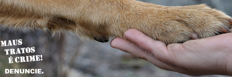 DEPA - Delegacia de Proteção Animal!